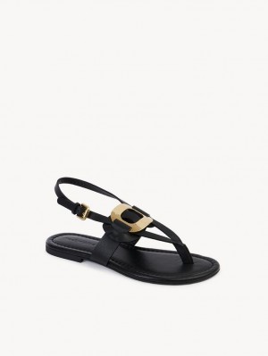 Chloe Chany Sandaler Sort | CHE-SR14844