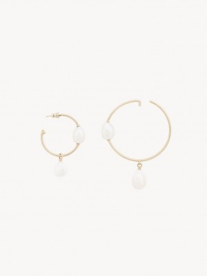 Chloe Darcey Hoop Øreringe Guld Hvide | CHE-SR14442