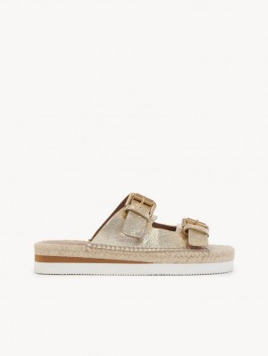 Chloe Glyn Platform Espadrillos Sandaler Scarlatto | CHE-SR14831