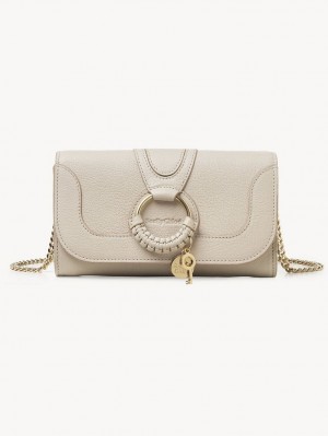 Chloe Hana Chain Stor Pung Beige | CHE-SR14913