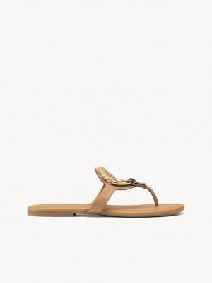 Chloe Hana Flip-flop Flade Sko Brune | CHE-SR14818