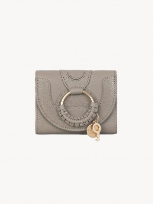 Chloe Hana Trifold Lille Pung Grå | CHE-SR14901