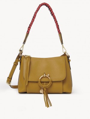 Chloe Joan Small Skuldertasker Brune | CHE-SR14648