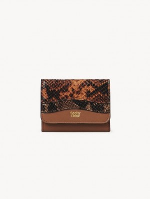 Chloe Layers Medium Tri-fold Lille Pung Brune | CHE-SR14899