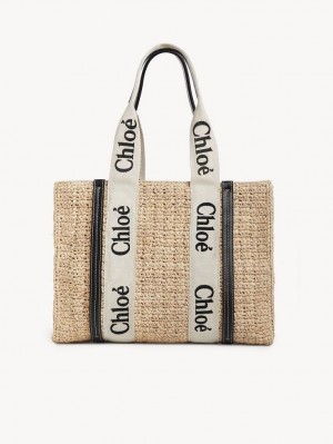 Chloe Medium Woody Muleposer Brune | CHE-SR13368