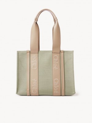 Chloe Medium Woody Muleposer Grøn | CHE-SR13314