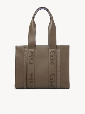 Chloe Medium Woody Muleposer Grøn | CHE-SR13340