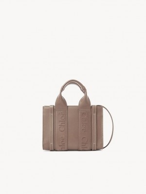 Chloe Mini Woody Crossbody Taske Brune | CHE-SR13569