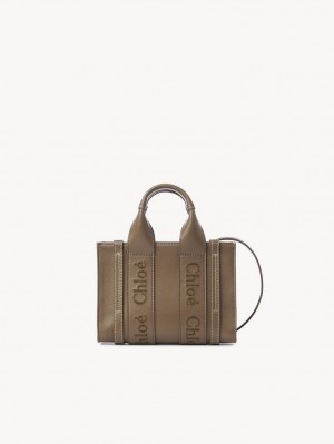 Chloe Mini Woody Crossbody Taske Grøn | CHE-SR13521