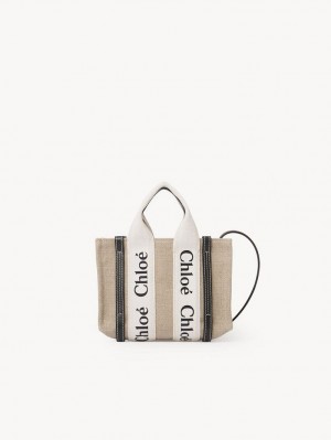 Chloe Mini Woody Crossbody Taske Hvide Blå | CHE-SR13511