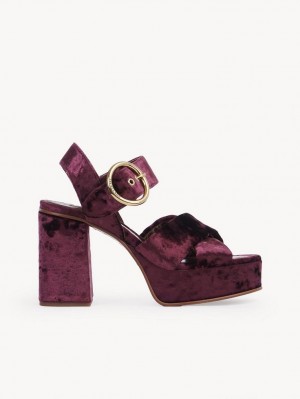 Chloe Orla Platform Sandaler Fuchsia | CHE-SR14809