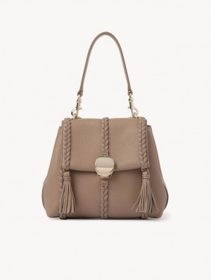 Chloe Penelope Small Soft Skuldertasker Brune | CHE-SR13456