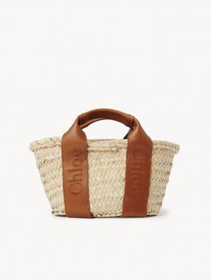 Chloe Sense Small Basket Crossbody Taske Brune | CHE-SR13518