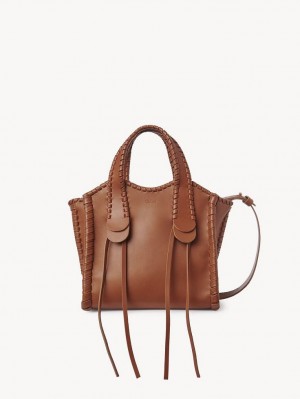 Chloe Small Mony Crossbody Taske Brune | CHE-SR13467