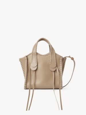 Chloe Small Mony Crossbody Taske Brune | CHE-SR13602