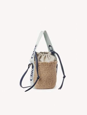 Chloe Small Woody Basket Crossbody Taske Grøn Blå | CHE-SR13617