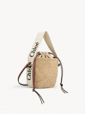 Chloe Small Woody Baskets Hvide | CHE-SR13657