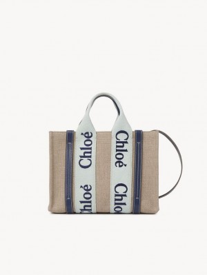 Chloe Small Woody Crossbody Taske Grøn Blå | CHE-SR13568