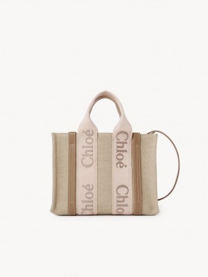 Chloe Small Woody Muleposer Beige | CHE-SR13384