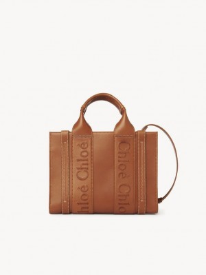 Chloe Small Woody Muleposer Brune | CHE-SR13345