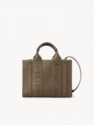 Chloe Small Woody Muleposer Grøn | CHE-SR13339