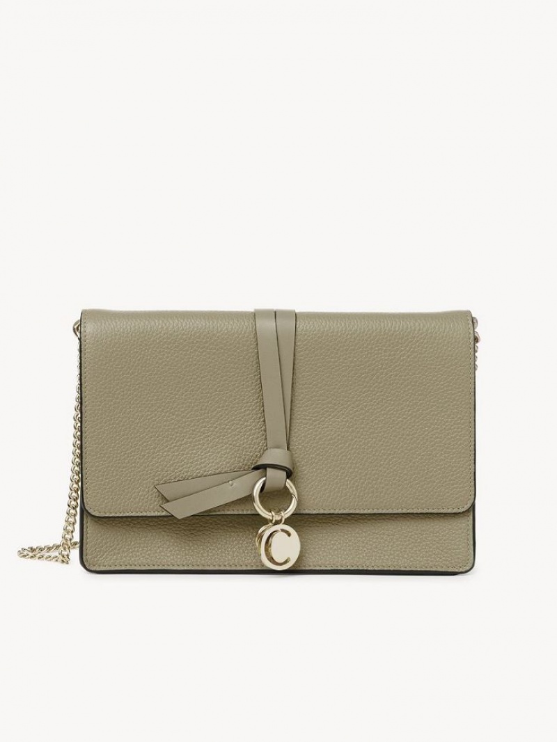 Chloe Alphabet Clutch Crossbody Taske Grøn | CHE-SR13481