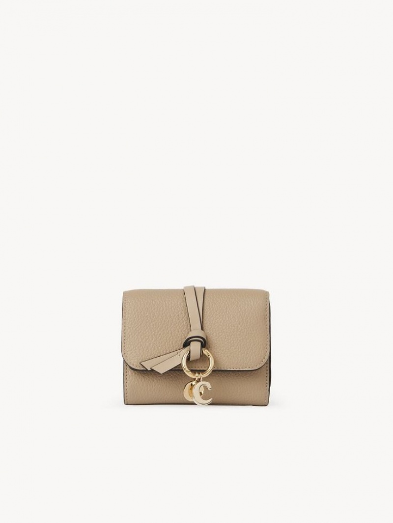 Chloe Alphabet Small Tri-fold Lille Pung Brune | CHE-SR14294