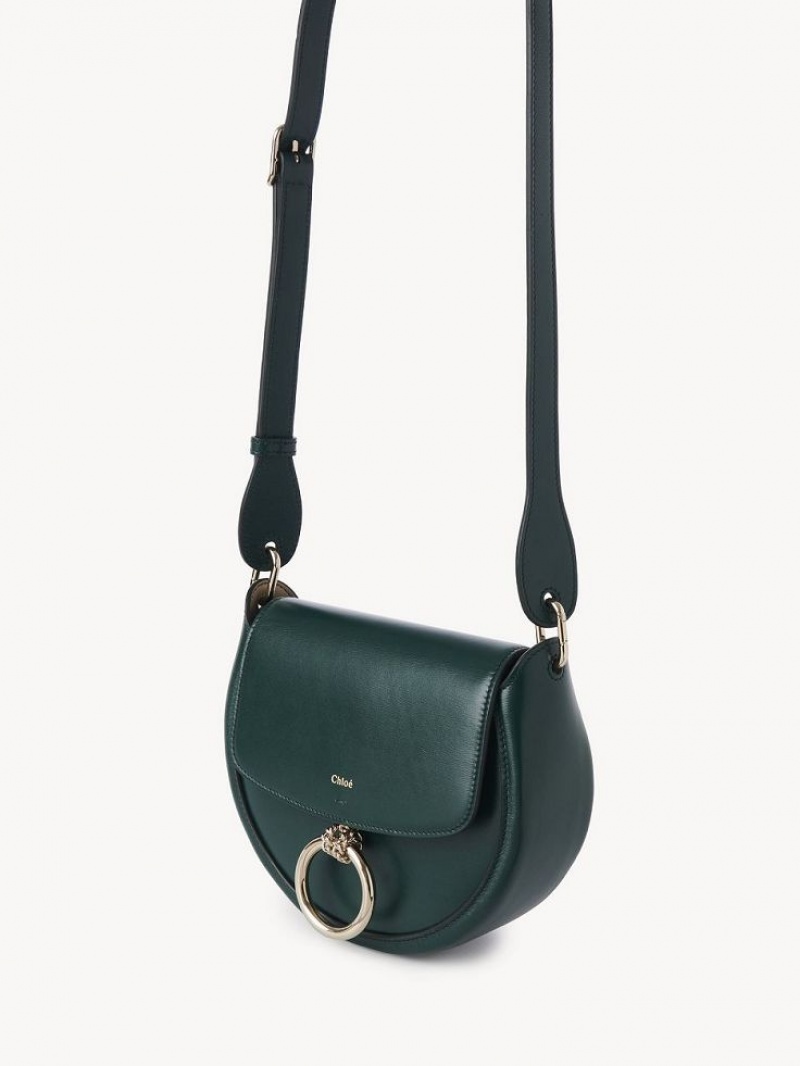 Chloe Arlène Small Crossbody Crossbody Taske Grøn | CHE-SR13463