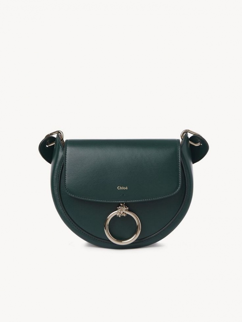 Chloe Arlène Small Crossbody Crossbody Taske Grøn | CHE-SR13463