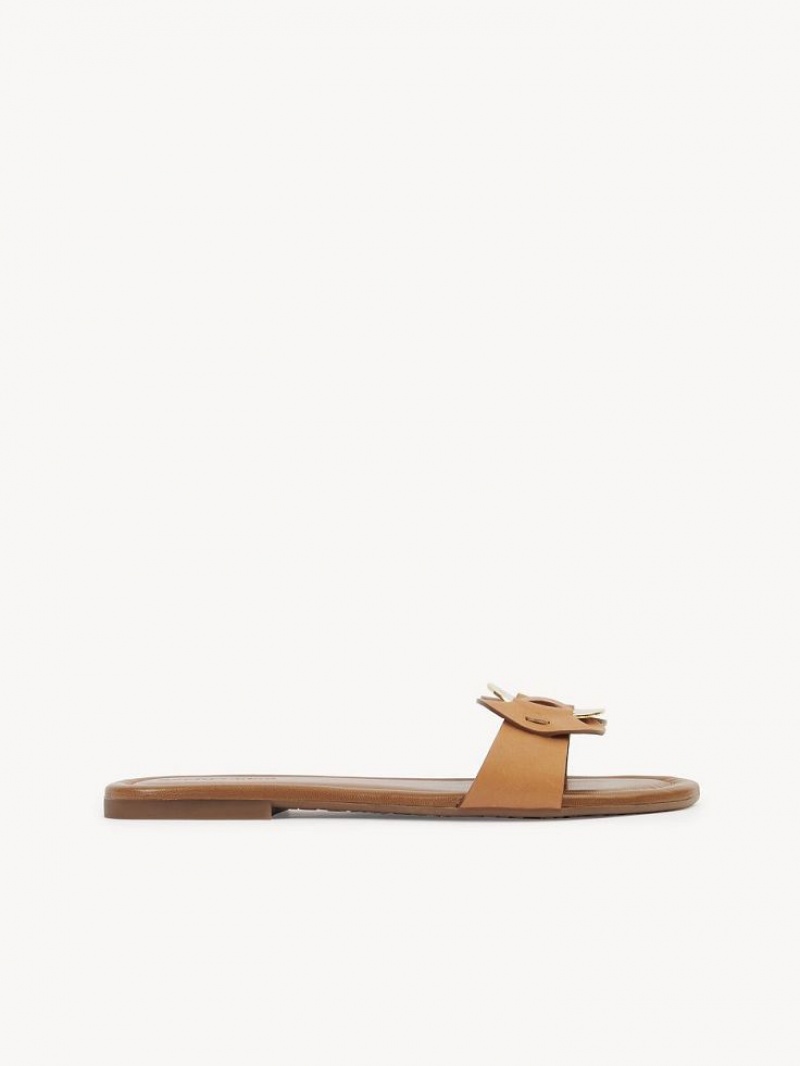 Chloe Chany Mule Flade Sko Brune | CHE-SR14837