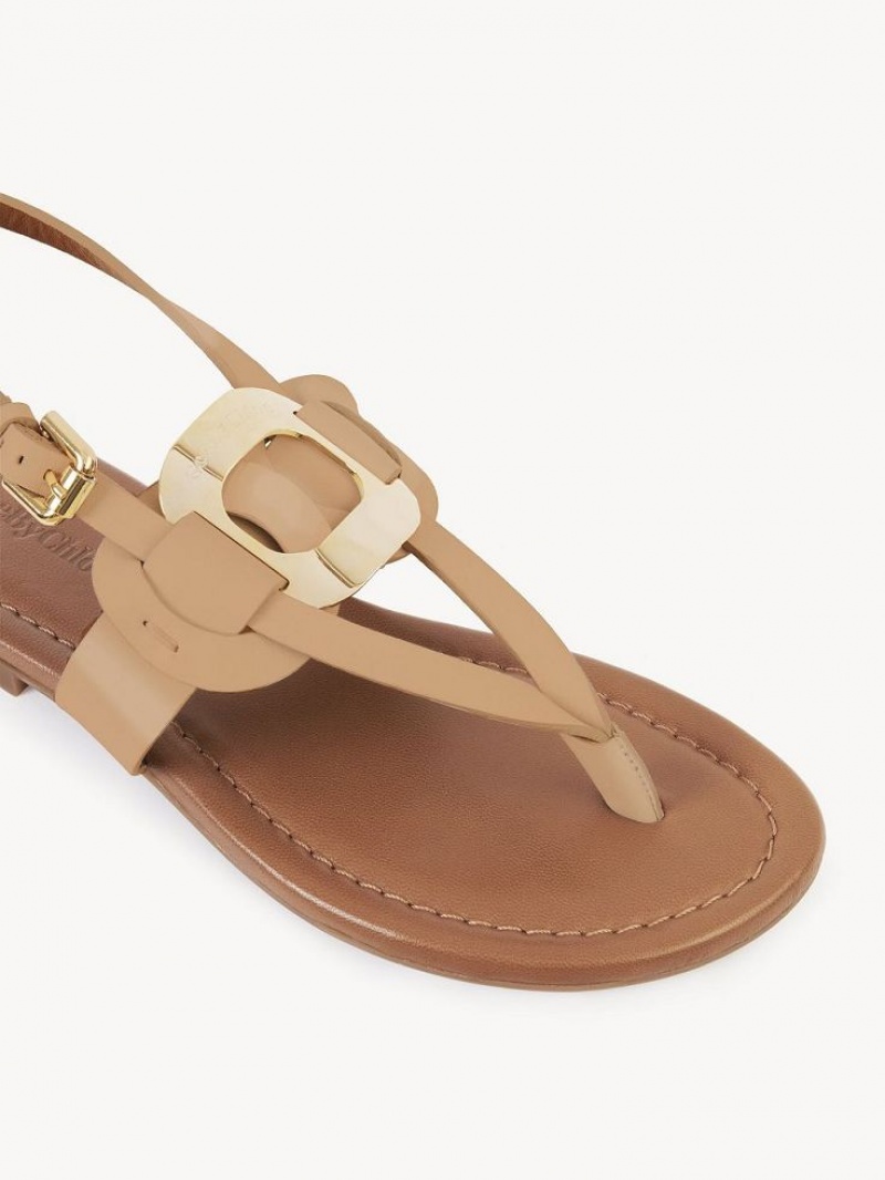 Chloe Chany Sandaler Brune | CHE-SR14824