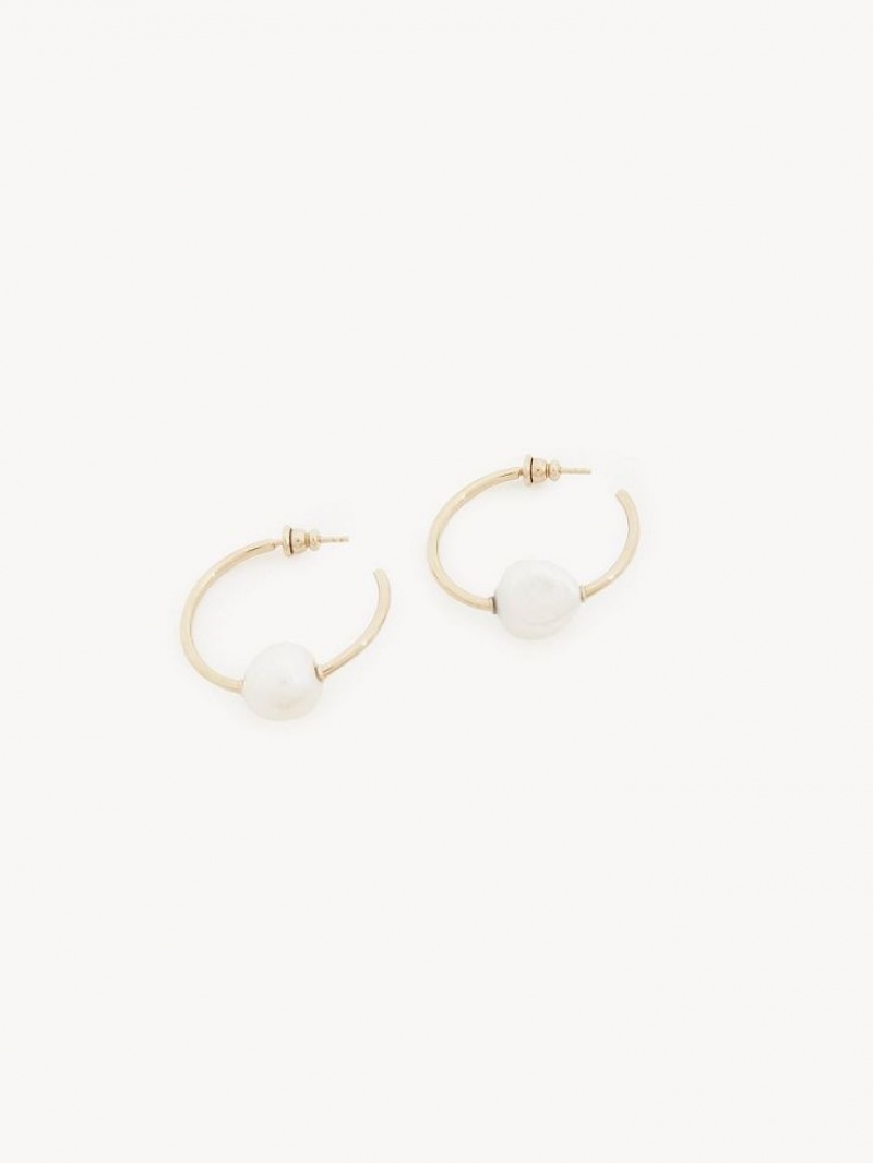 Chloe Darcey Hoop Øreringe Guld Hvide | CHE-SR14441