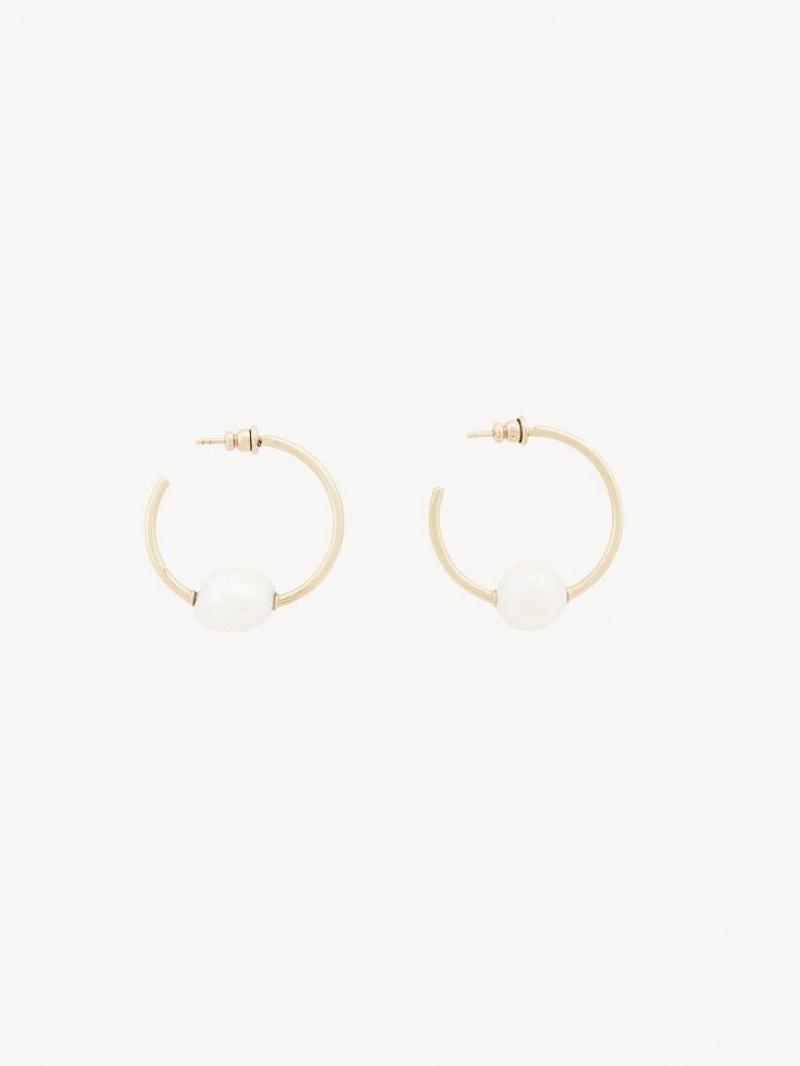 Chloe Darcey Hoop Øreringe Guld Hvide | CHE-SR14441