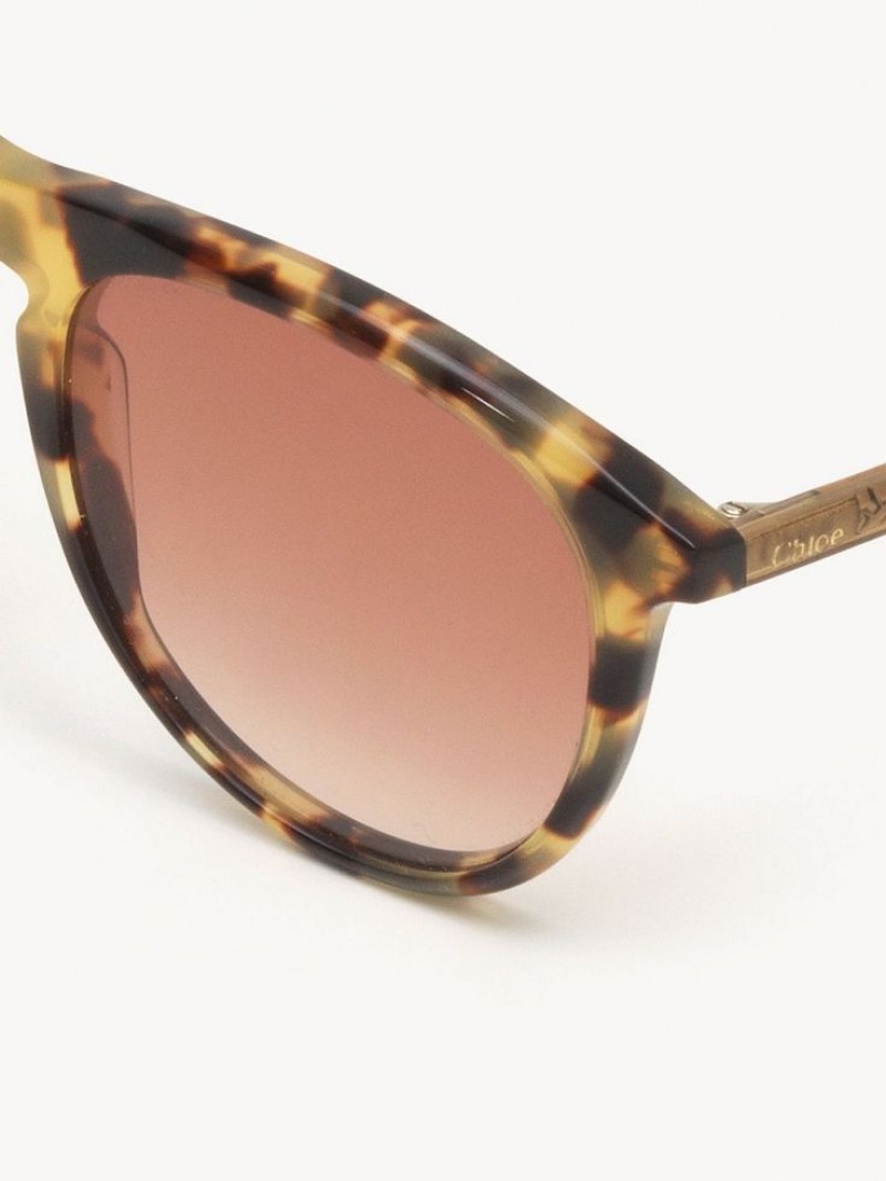 Chloe Esther Solbriller Koral | CHE-SR14504