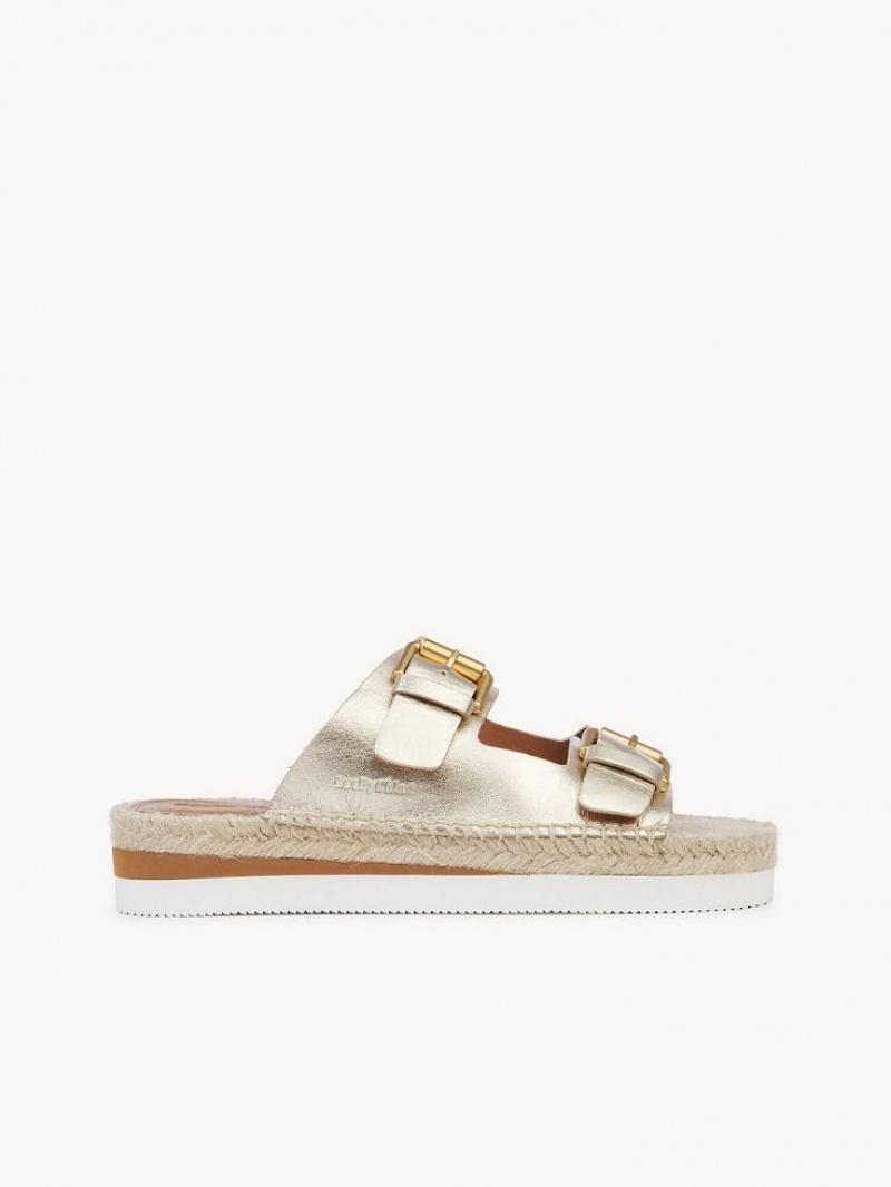 Chloe Glyn Platform Espadrillos Sandaler Sølv | CHE-SR14802