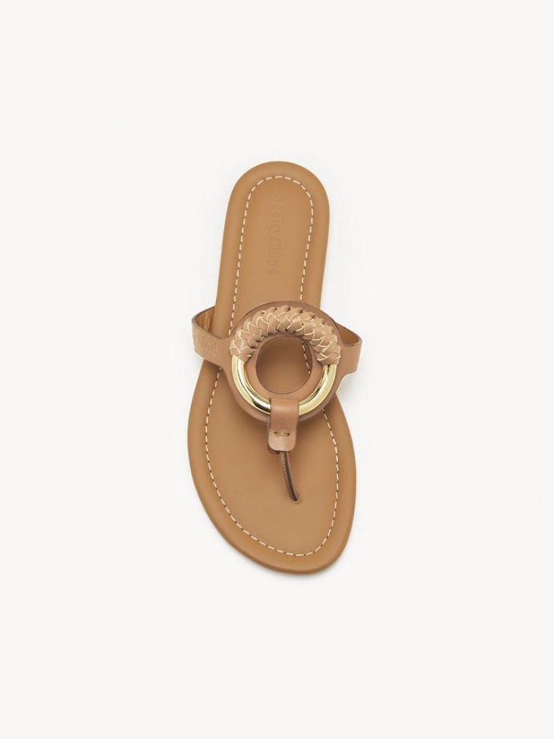 Chloe Hana Flip-flop Flade Sko Brune | CHE-SR14818