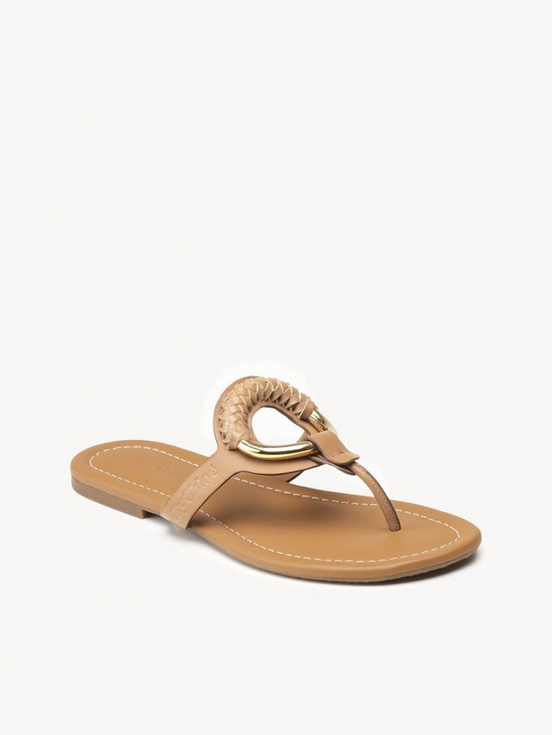 Chloe Hana Flip-flop Flade Sko Brune | CHE-SR14818