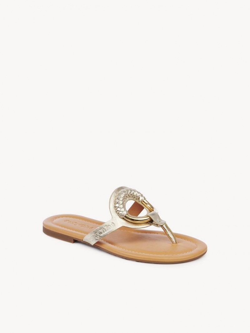 Chloe Hana Flip-flop Flade Sko Sølv | CHE-SR14829