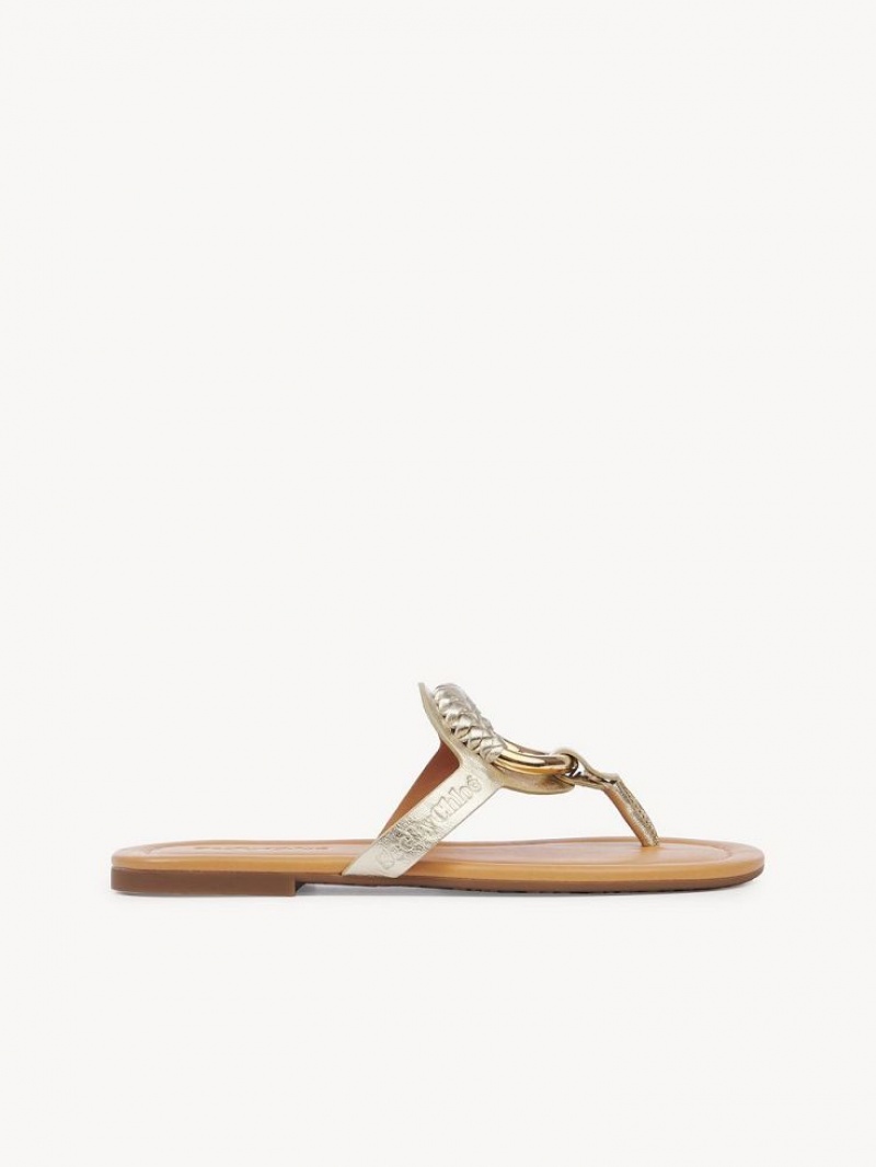 Chloe Hana Flip-flop Flade Sko Sølv | CHE-SR14829