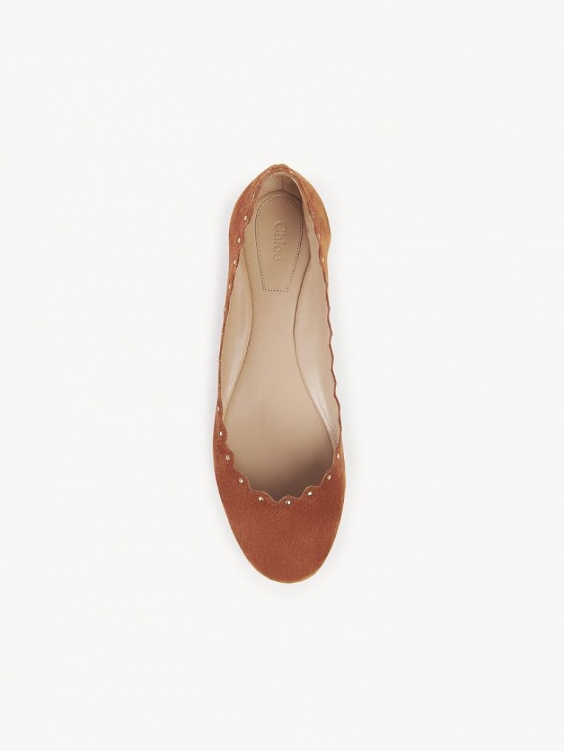 Chloe Lauren Ballet Flat Brune | CHE-SR14254