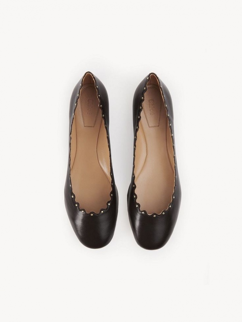 Chloe Lauren Ballet Flat Chokolade | CHE-SR14253