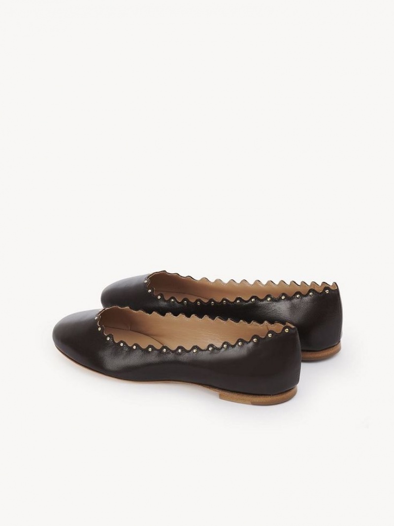 Chloe Lauren Ballet Flat Chokolade | CHE-SR14253