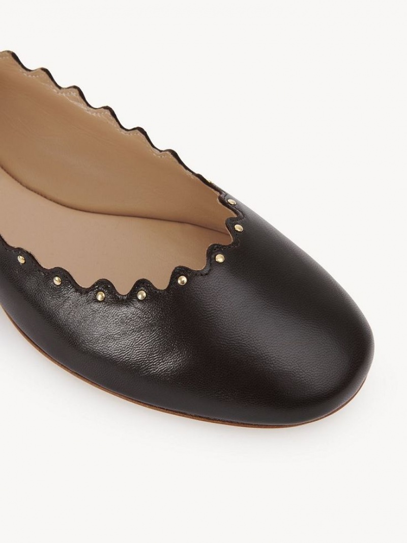 Chloe Lauren Ballet Flat Chokolade | CHE-SR14253