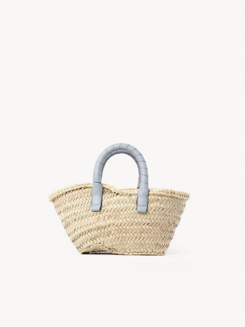 Chloe Marcie Basket Mini Tasker Blå | CHE-SR13661