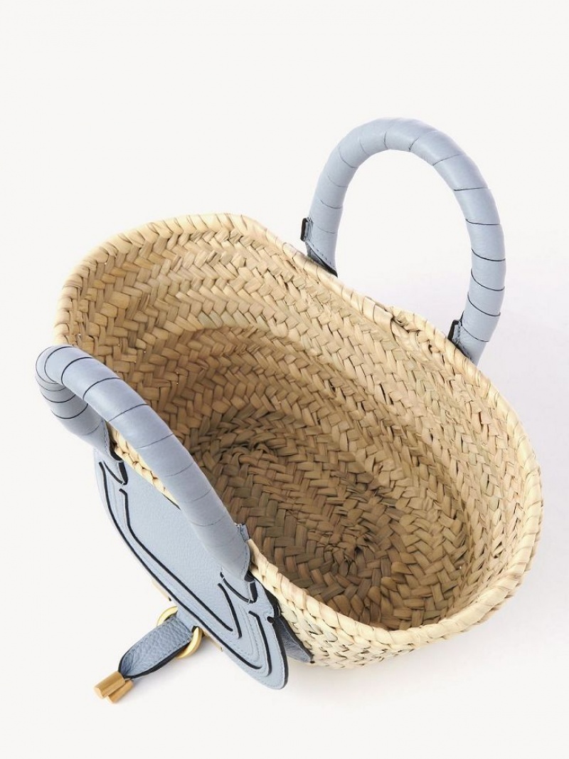 Chloe Marcie Basket Mini Tasker Blå | CHE-SR13661