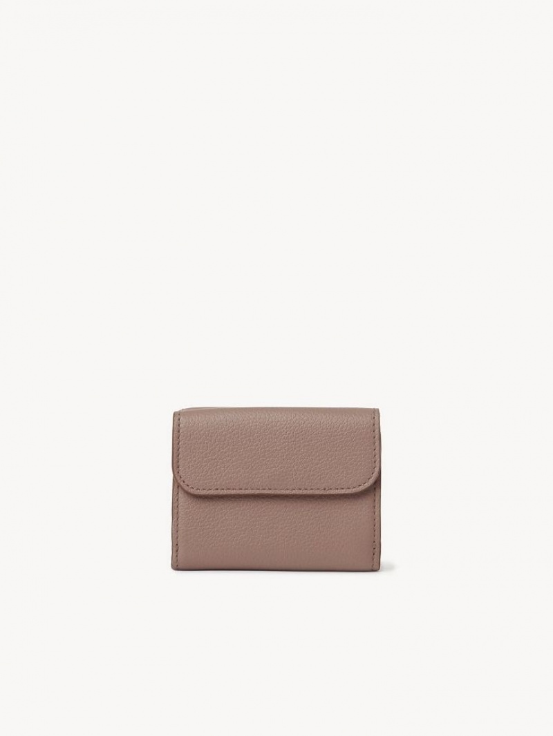 Chloe Marcie Small Tri-fold Lille Pung Brune | CHE-SR14296