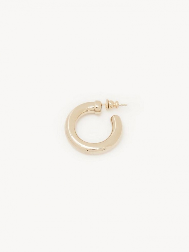 Chloe Maura Hoops Øreringe Guld | CHE-SR14359