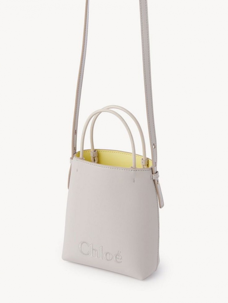 Chloe Sense Micro Crossbody Taske Grå | CHE-SR13581