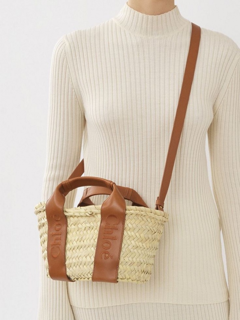 Chloe Sense Small Basket Crossbody Taske Brune | CHE-SR13518