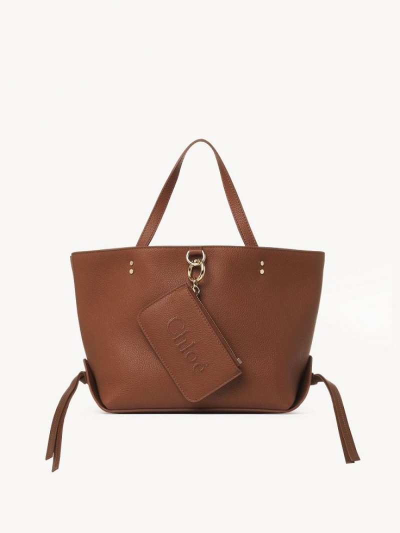 Chloe Sense Small East-west Skuldertasker Brune | CHE-SR13422